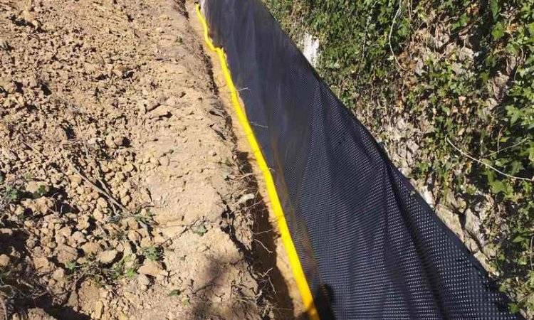 drainage-grapeloup-tp-roanne- Grapeloup TP